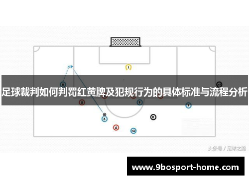 足球裁判如何判罚红黄牌及犯规行为的具体标准与流程分析